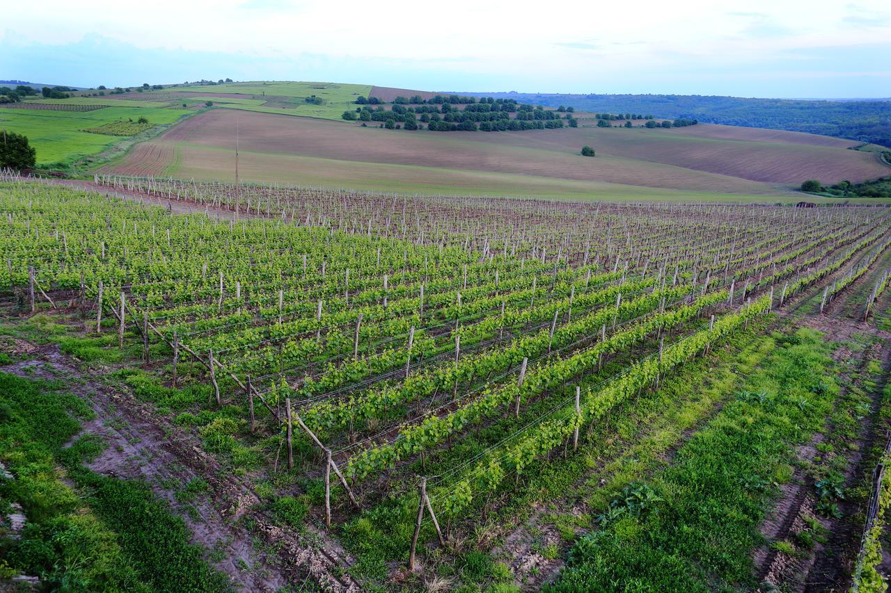 Seven Generations Winery Hotel Mechka Exterior foto